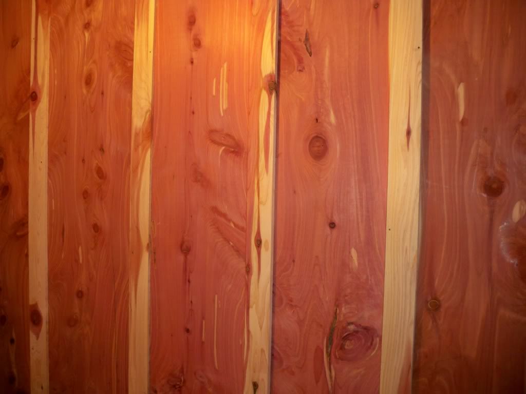 Arkansas Cypress & Cedar Northeast Arkansas/TriState's Cypress